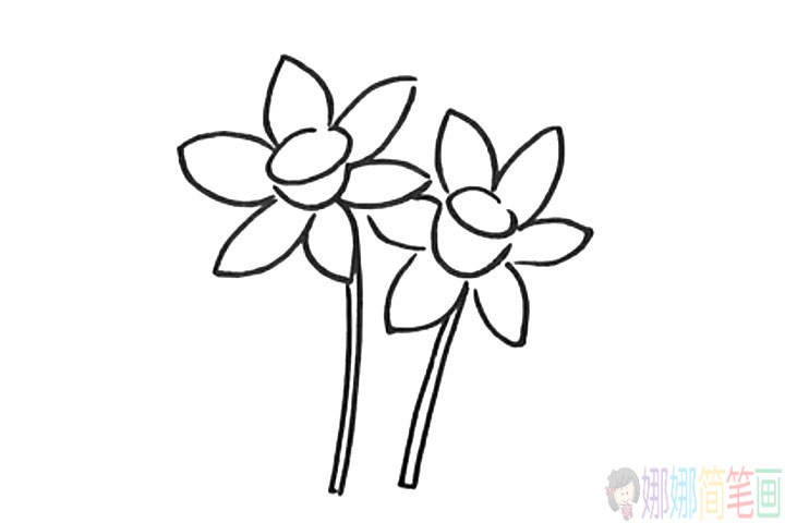 水仙花简笔画教程，水仙画怎么画彩色