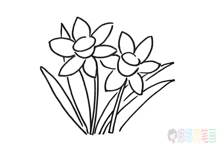 水仙花简笔画教程，水仙画怎么画彩色