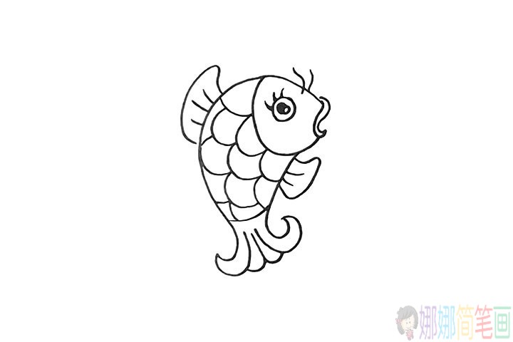 鲤鱼怎么画,锦鲤简笔画教程