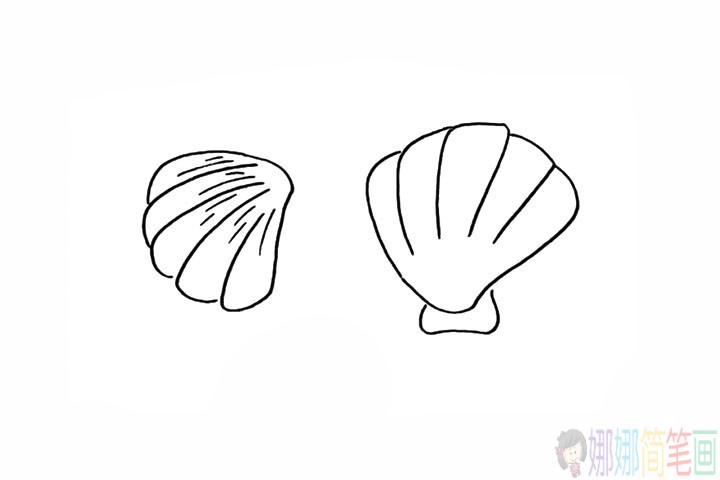 贝壳简笔画,贝壳的画法