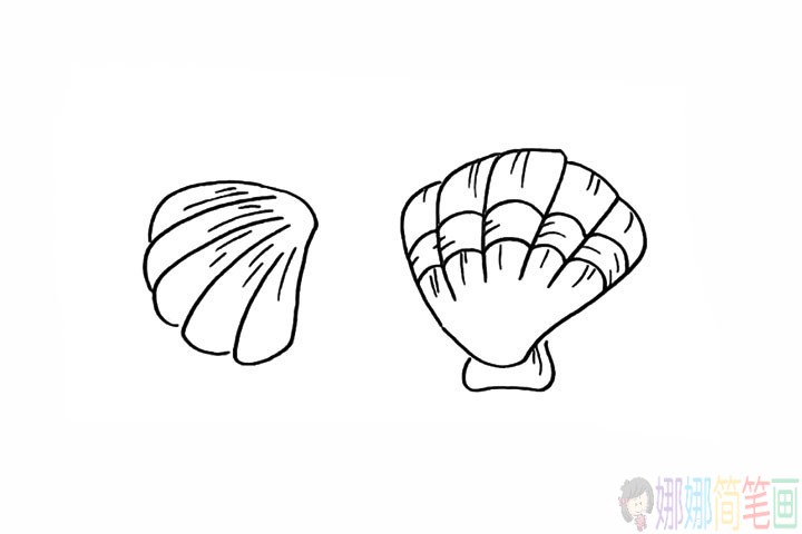 贝壳简笔画,贝壳的画法