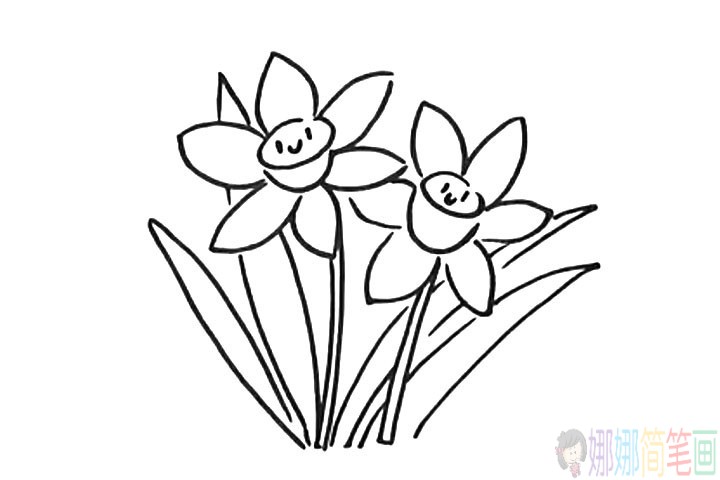 水仙花简笔画教程，水仙画怎么画彩色