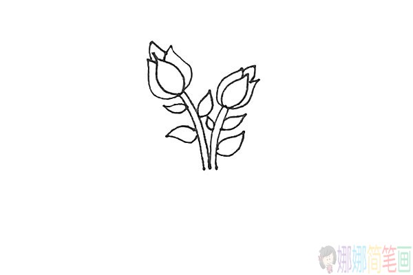 月季花怎么画,月季花简笔画法