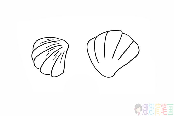 贝壳简笔画,贝壳的画法