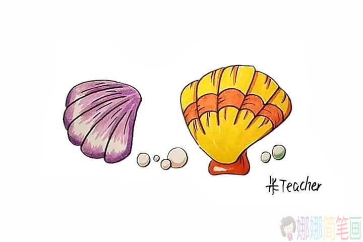 贝壳简笔画,贝壳的画法