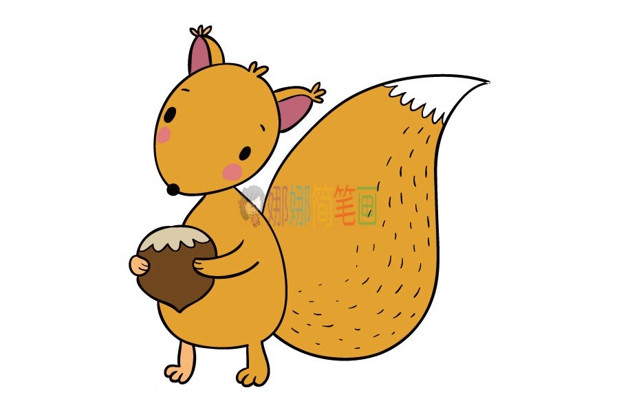 可爱的小松鼠简笔画