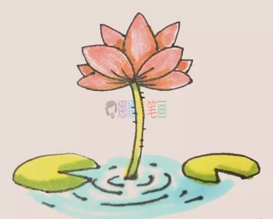 荷花简笔画,荷花怎么画教程