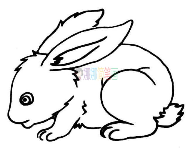 各种小兔子简笔画