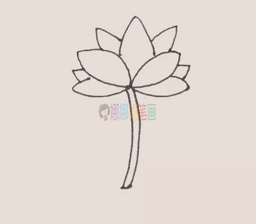 荷花简笔画,荷花怎么画教程