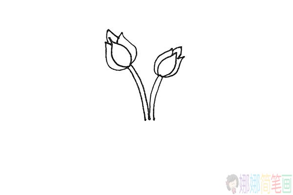 月季花怎么画,月季花简笔画法