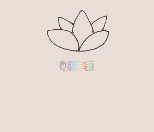 荷花简笔画,荷花怎么画教程