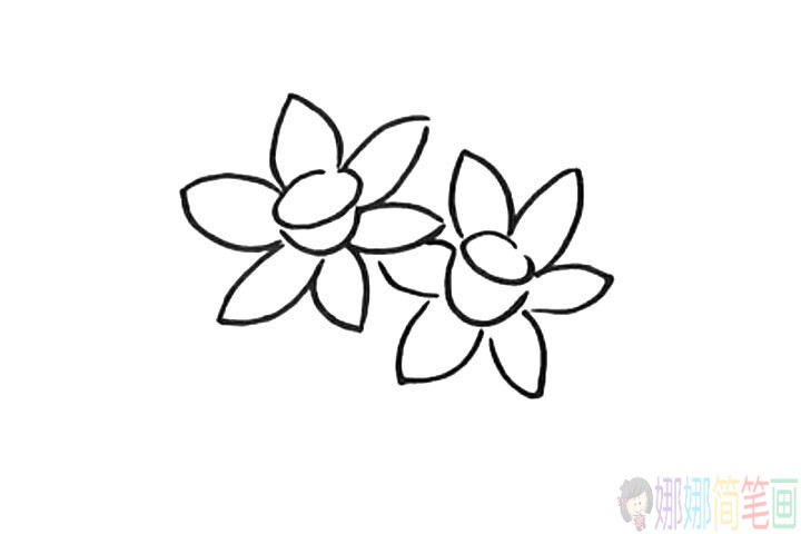 水仙花简笔画教程，水仙画怎么画彩色