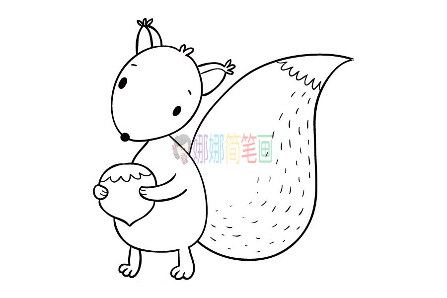 可爱的小松鼠简笔画