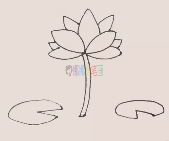 荷花简笔画,荷花怎么画教程