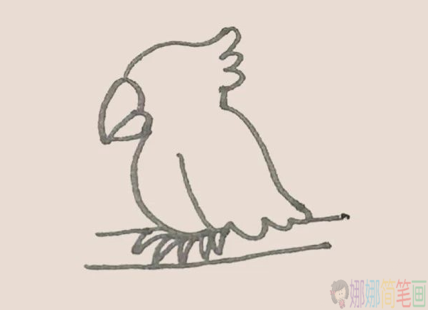 简单好画的鹦鹉简笔画