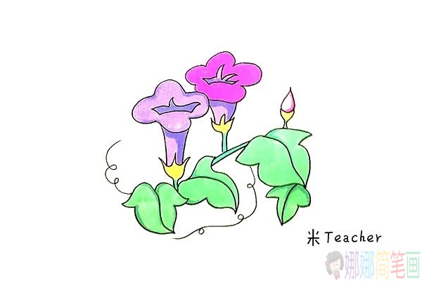牵牛花简笔画,怎么画牵牛花