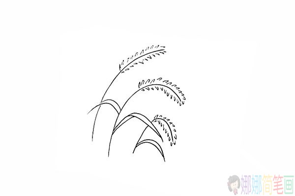 简单的狗尾草简笔画法步骤