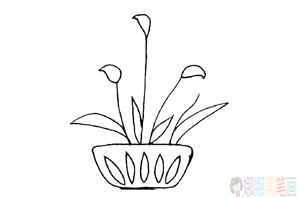 各种简单好画的简笔画植物
