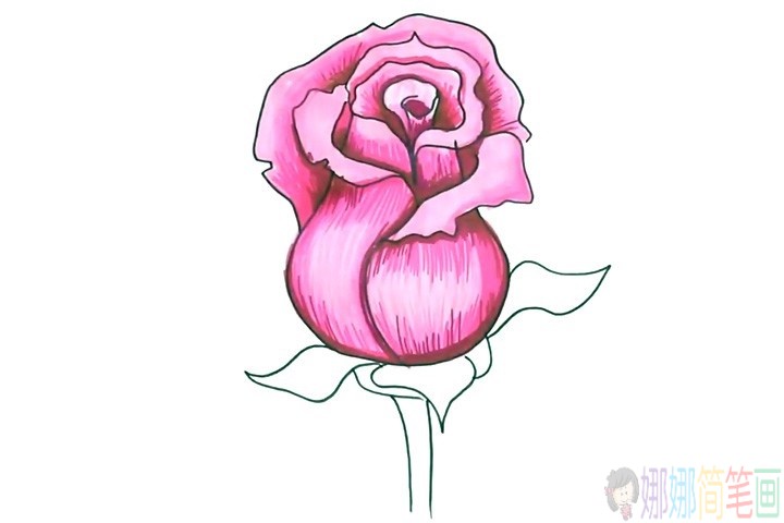 教小朋友画一朵漂亮的玫瑰花