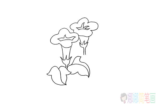 牵牛花简笔画,怎么画牵牛花