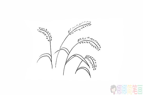 简单的狗尾草简笔画法步骤