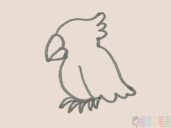 简单好画的鹦鹉简笔画
