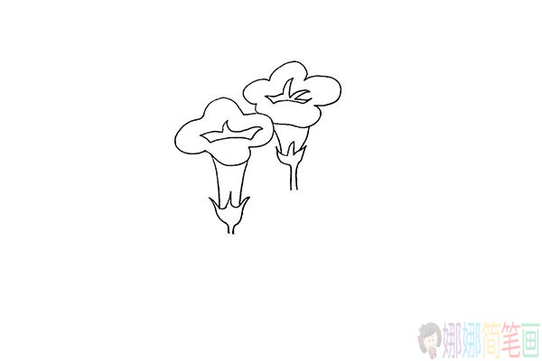 牵牛花简笔画,怎么画牵牛花