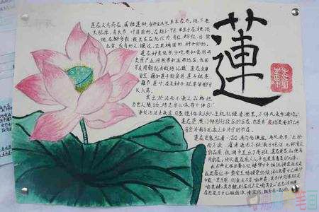 美术课手抄报作业模板