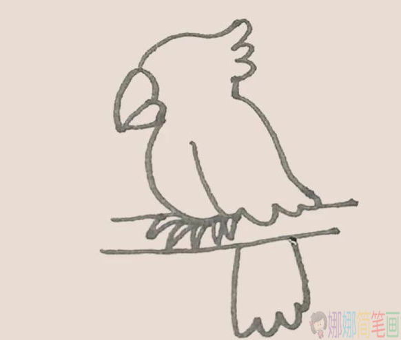 简单好画的鹦鹉简笔画