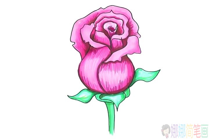 教小朋友画一朵漂亮的玫瑰花