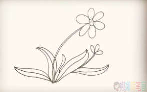 太阳花简笔画图片,太阳花儿童简笔画法