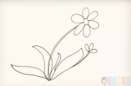 太阳花简笔画图片,太阳花儿童简笔画法
