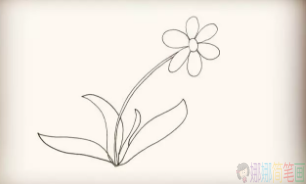 太阳花简笔画图片,太阳花儿童简笔画法