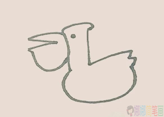 鹈鹕怎么画,鹈鹕鸟简笔画教程