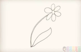 太阳花简笔画图片,太阳花儿童简笔画法