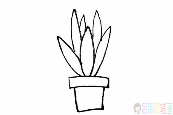 盆栽怎么画,盆栽简笔画教程