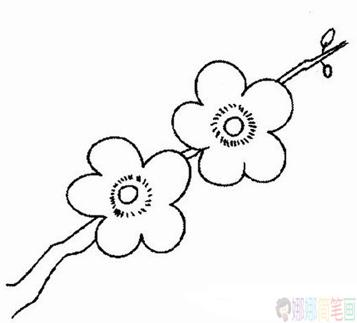 漂亮的梅花简笔画图片