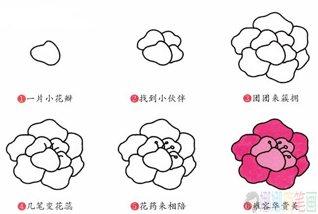 牡丹花简笔画,牡丹花儿童简笔画教程