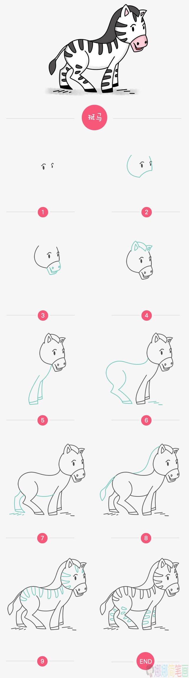 斑马简笔画图片大全,斑马简笔画步骤图