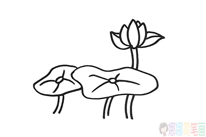 简单漂亮的荷花简笔画教程