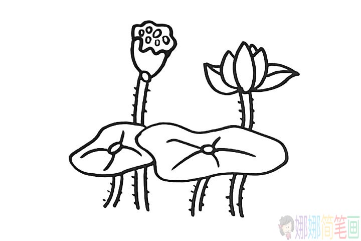 简单漂亮的荷花简笔画教程