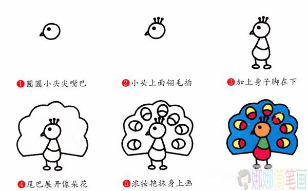 漂亮的孔雀简笔画图片,孔雀简笔画教程