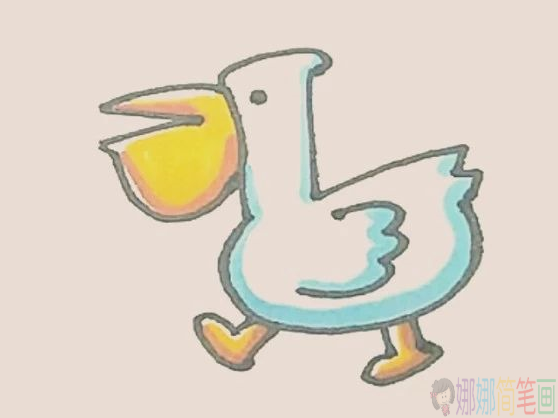 鹈鹕怎么画,鹈鹕鸟简笔画教程