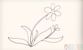 太阳花简笔画图片,太阳花儿童简笔画法
