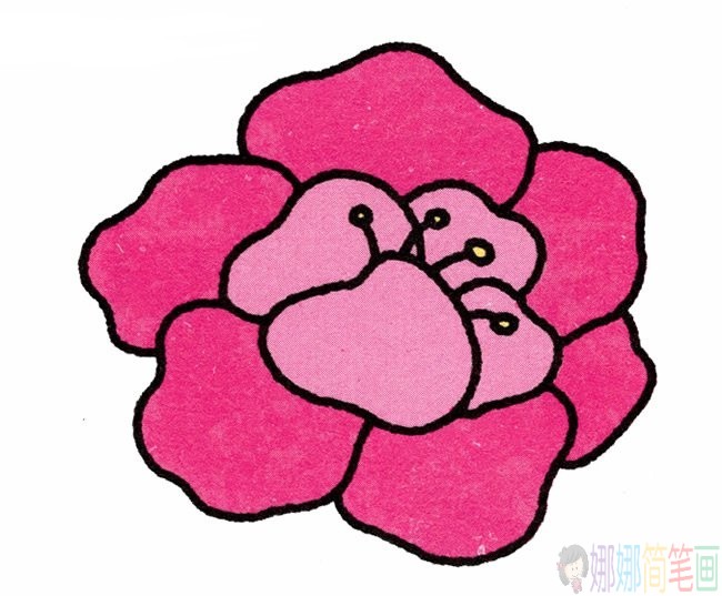 牡丹花简笔画,牡丹花儿童简笔画教程