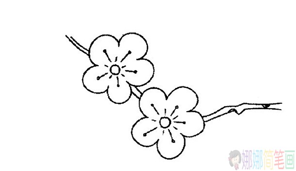 漂亮的梅花简笔画图片