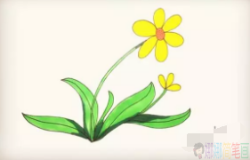 太阳花简笔画图片,太阳花儿童简笔画法
