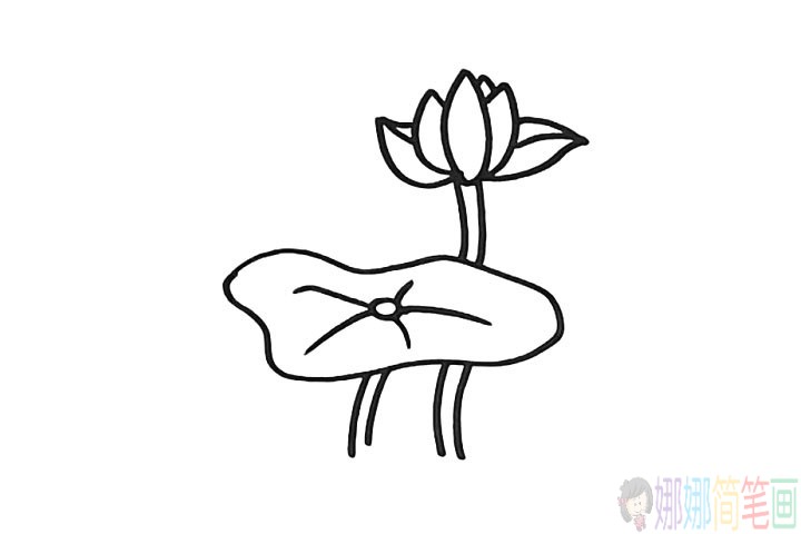 简单漂亮的荷花简笔画教程