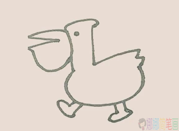 鹈鹕怎么画,鹈鹕鸟简笔画教程