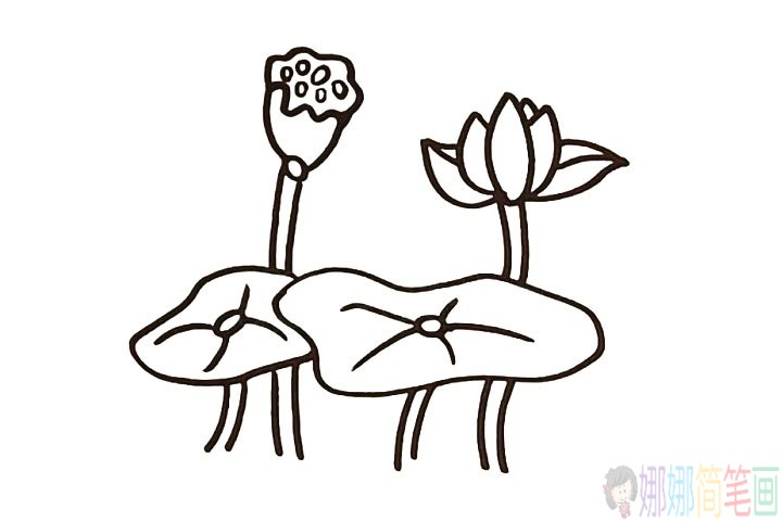简单漂亮的荷花简笔画教程